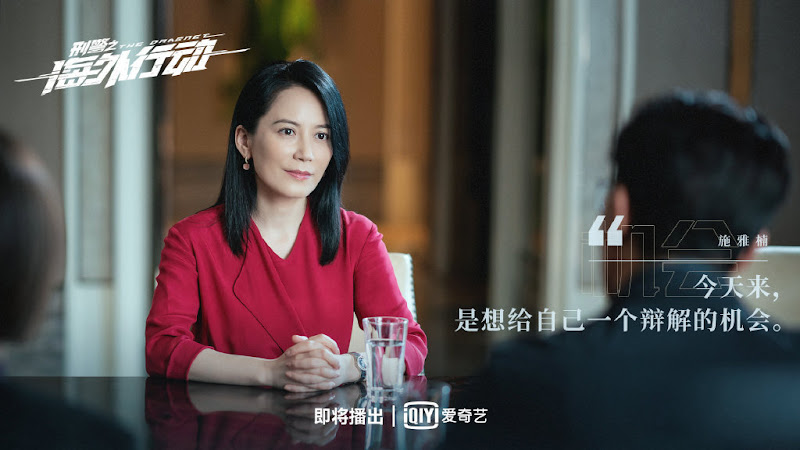 The Dragnet China Web Drama